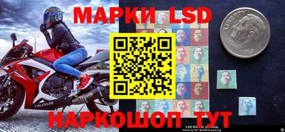 прущие грибы Кандалакша