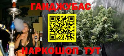 прущие грибы Кандалакша