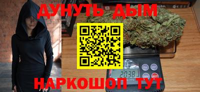 прущие грибы Кандалакша