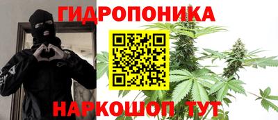 прущие грибы Кандалакша