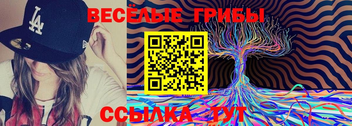 Псилоцибиновые грибы Magic Shrooms  Вход с VPN  Дагестанские Огни 